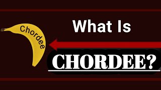 What Is Chordee  Is Chordee Serious  Viv Care [upl. by Avery685]