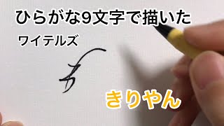 【ワイテルズ】ひらがな9文字で描いたきりやん [upl. by Atreb875]