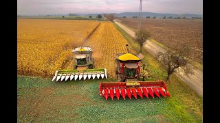 CASE IH Axial Flow 9250 amp CLAAS Lexion 770  Corn Harvest 2021🌽 Rostěnice as 22 4K [upl. by Uliram562]