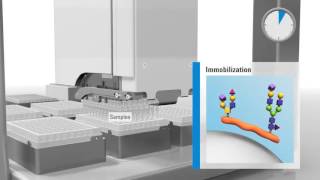 Streamlining NGlycan Sample Preparation [upl. by Enirbas947]