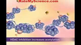 Histone acetylation and cancer Rate My Science [upl. by Idok]