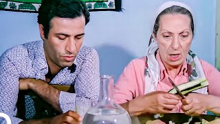 Devlet Kuşu  Kemal Sunal Komedi Filmi İzle [upl. by Teews4]