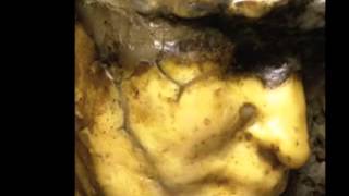 Medardo Rosso Chopin vals Nº3 [upl. by Blackburn]