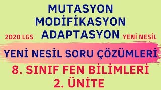 MUTASYON MODİFİKASYON ADAPTASYON SORU ÇÖZÜMÜ [upl. by Carmon55]