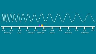 ELECTROMAGNETIC SPECTRUM SONG  Science Music Video [upl. by Haslam]