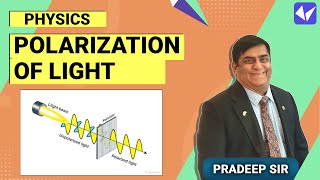 Polarization of light  Ray Optics  Class 12 physics  CBSE2021  IITJEE2021 Pradeep Kshetrapal [upl. by Zil]