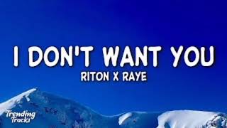 Riton RAYE  I Dont Want You [upl. by Gray450]