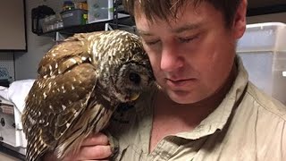 Rescued Owl Sends Everyone Into Tears After Seeing Her Rescuer [upl. by Adnohsek]