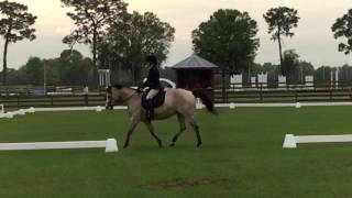 Beginner Novice Test A dressage [upl. by Crowley]