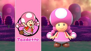 Playable Toadette in Super Mario 3D World [upl. by Mcnalley]