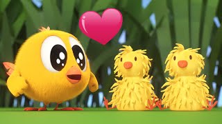 Wheres Chicky Funny Chicky 2023  NEW LITTLE FRIENDS  Cartoon in English for Kids  New episodes [upl. by Ahsimek]