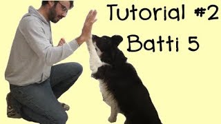 Come insegnare al cane il Batti 5  High Five con clicker  Tutorial 2 [upl. by Jacquelynn]