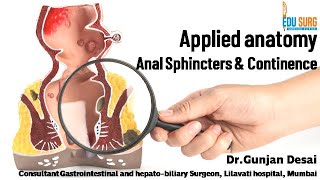 Applied anatomy of Anal canal 2  Anal sphincter complex amp continence mechanism  Edusurg Clinics [upl. by Neil]