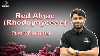 RhodoPhyceae  Class 11th  Biology  Ram sir  Horizon Academy [upl. by Reese143]