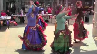 Egyptian Ghawazee style folk dancers [upl. by Mccoy57]