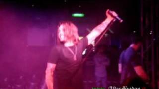 Alter Bridge Shed My Skin  Live in Italy [upl. by Ydnyc]