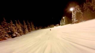 Sled Dogs Snowskates 100kph high speed in Norway in Kvitfjell Olympic slope [upl. by Twitt]