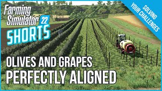 Perfect Vine Placement EVERY TIME  Farm Sim Shorts 8  Farming Simulator 22 [upl. by Ayikal609]