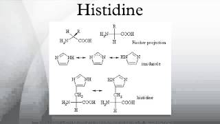 Histidine [upl. by Mcquade]