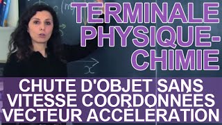 Chute dobjet sans vitesse 2  coordonnées vecteur accélération  Physique  Terminale [upl. by Grenville]