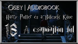 Harry Potter és a Bölcsek Köve hangoskönyv  16 fejezet [upl. by Casta245]