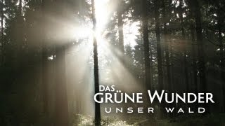 Das Grüne Wunder  Teaser HD [upl. by Asta862]