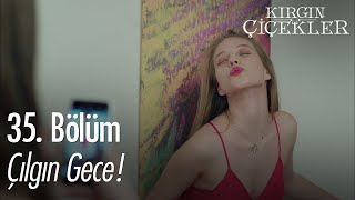 Defne ve arkadaşlarının çılgın gecesi  Kırgın Çiçekler 35 Bölüm [upl. by Cela]