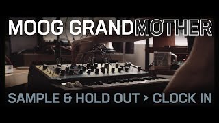 Moog Grandmother Randomization Demo with SH OUT [upl. by Yelnahs62]