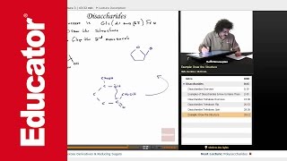 Disaccharides Structure  Biochemistry Tutorial [upl. by Lanette916]