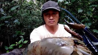 Mancing udang galah babon  Saat air sungai tengah hutan pedalaman kalimantan meluap tinggi [upl. by Siul]