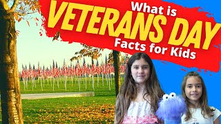 Why Do We Celebrate Veterans Day  Veterans Day Facts for Kids [upl. by Antoinetta]