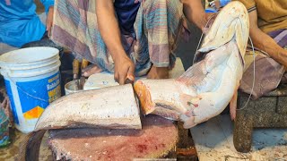 Amazing Giant Wallago Attu Catfish Cutting Skills In Bangladesh Fish Market [upl. by Ykvir543]