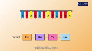 Animation 262 Gene mutations [upl. by Cotterell]