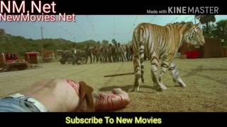 Himmatwala Ajay Devgan And Tiger Fighting With Stronger Fighters Scene Ajay Devgan Shraddha Kapoor [upl. by Ellerrehs779]