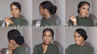 3 Fast amp Easy Protective Styles  Natural Hair  TheLifestyleLuxe [upl. by Shore]