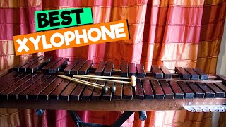 Best Xylophone Top Picks for Beginners and Pros [upl. by Deery]