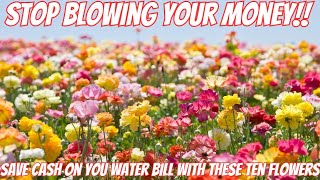 10 Best Drought Tolerant Flowers  Save [upl. by Essilevi]