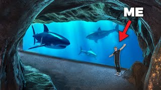 Enter Americas LARGEST Aquarium amp Underwater Zoo  Private Tour [upl. by Krilov]