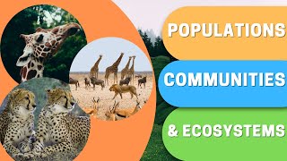 What are Populations Communities amp Ecosystems [upl. by Rolyat]