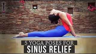 5 Yoga Poses for Sinus Relief [upl. by Adnyc903]