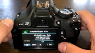 How To Use Self Timer  DSLR Tips [upl. by Eentroc611]