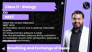 Select the correct statement NEET 2019 a Expiration occurs due to external intercostal muscles [upl. by Gavrielle]