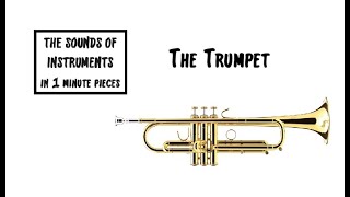 The Trumpet The Sounds of Instruments in 1 min pieces [upl. by Ellened]