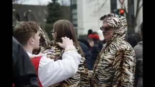 Karneval Monheim Karnevalszug 2016 [upl. by Wolk]