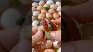 why Chinese people eat fertilised egg 😱  green screen  facts food eggcorn chinese eggquality [upl. by Solraced706]