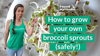 How to Grow Broccoli Sprouts [upl. by Hewes986]