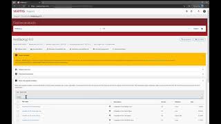 SelfService VM provisioning and Disaster Recovery with NetBackup Instant Access for VMware [upl. by Anillehs]