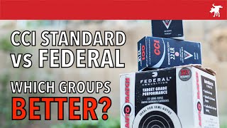 CCI Standard vs Federal Auto Match Ruger 1022 TD test [upl. by Anaes199]