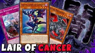 Lair of Darkness Deck Profile Yugioh 2022 New Support Combo Tutorial [upl. by Aciretahs]