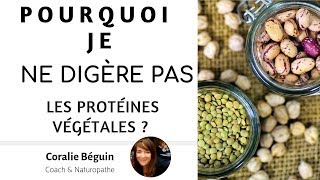 POURQUOI JE NE DIGÈRE PAS LES LÉGUMINEUSES  Coralie Béguin Naturopathe [upl. by Araec965]